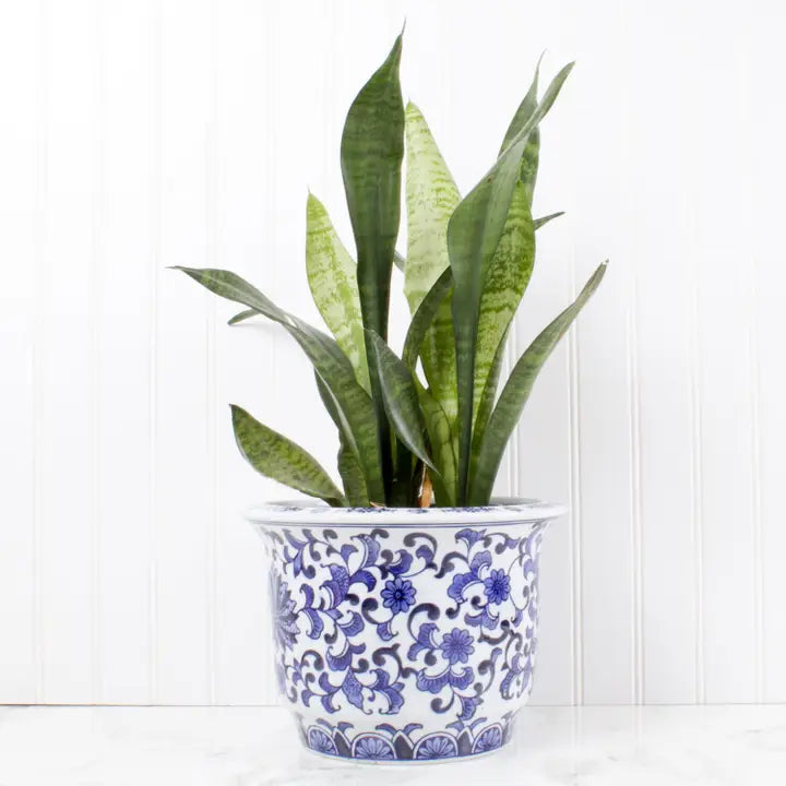 Blue Chinoiserie Planter - Small