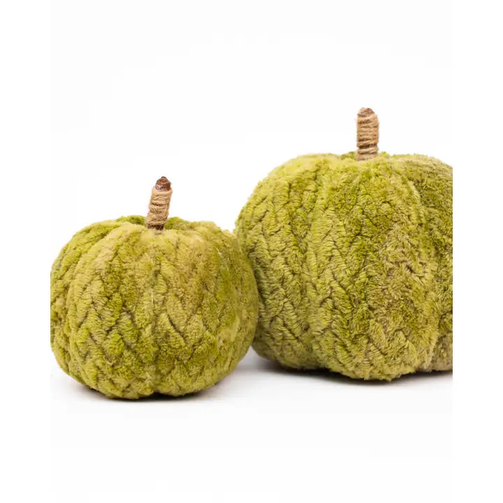 Hutchinson Pumpkin Green 6"