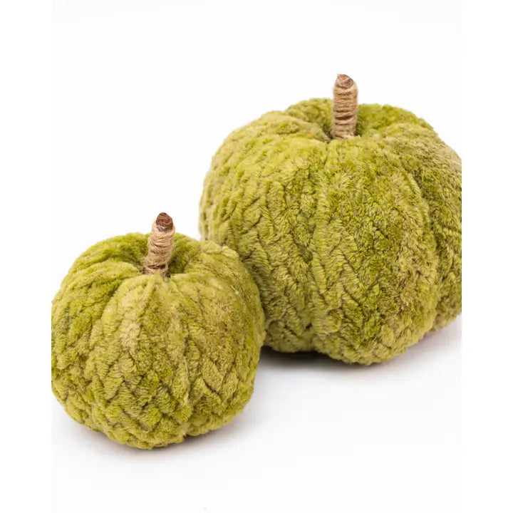 Hutchinson Pumpkin Green 4"