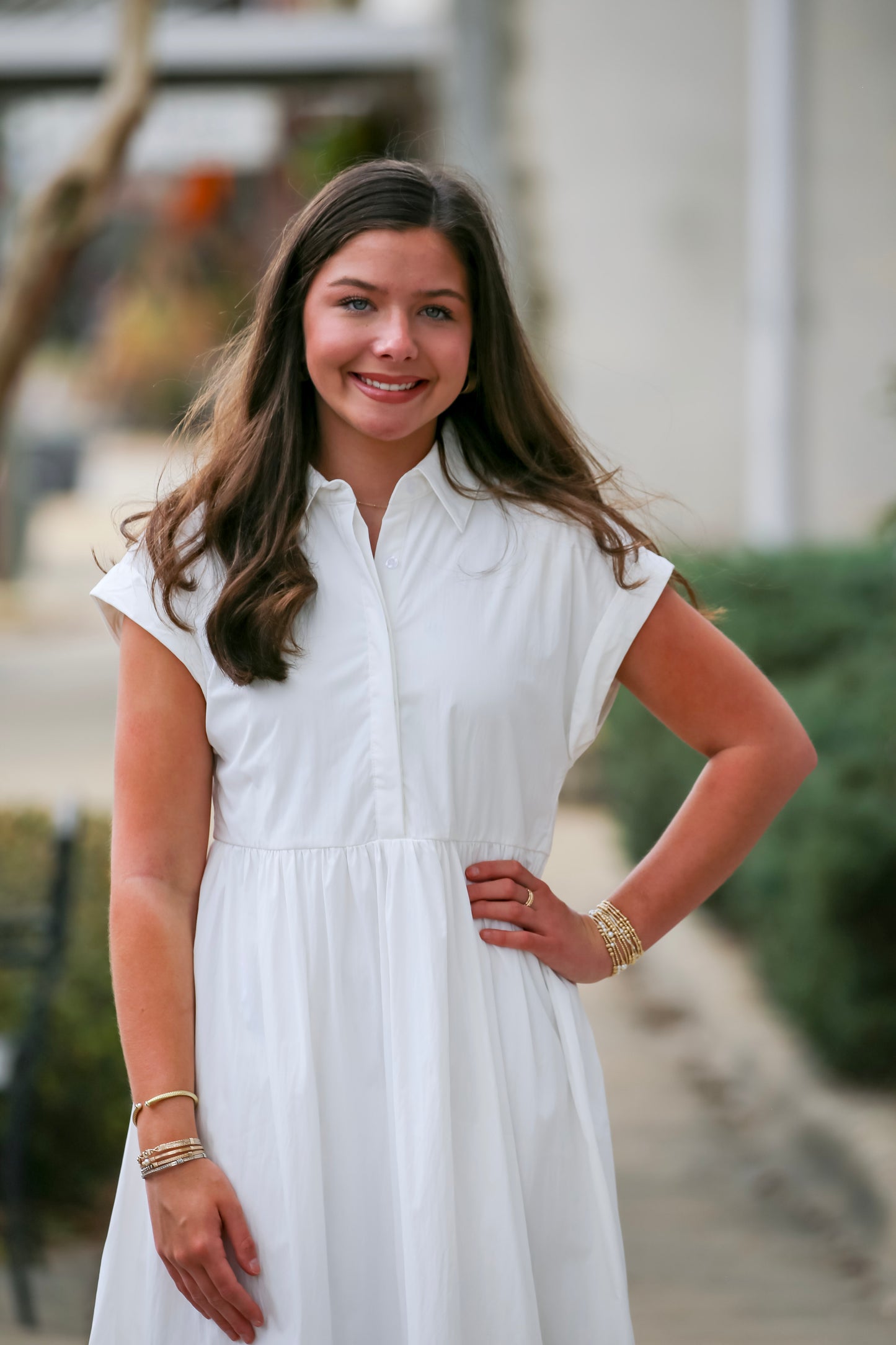 The Chapel Hill Dress