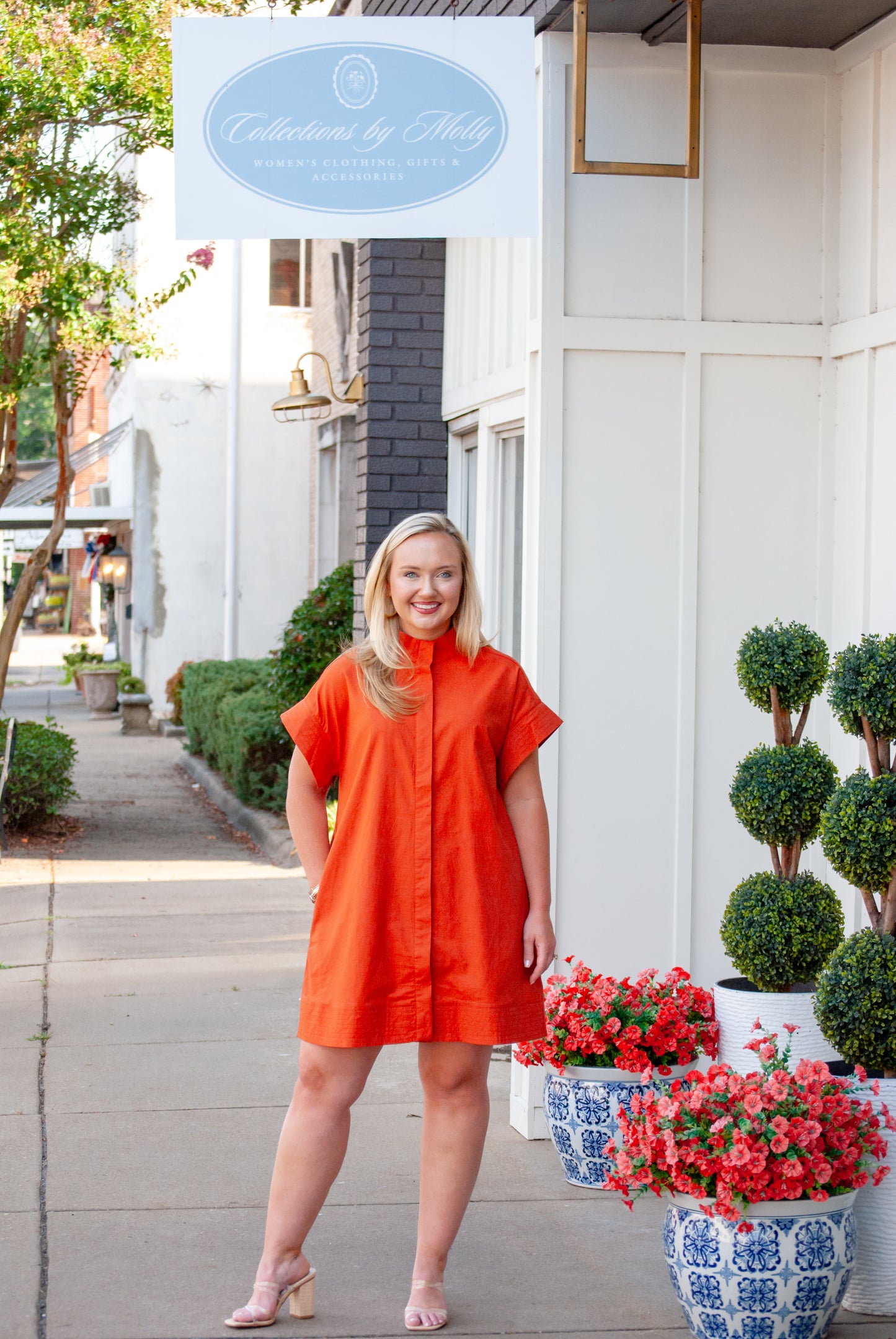 The Social Season Dress in Rust