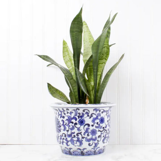 Blue Chinoiserie Planter - Small