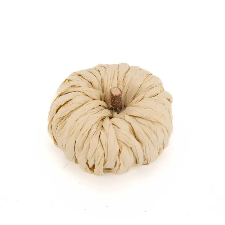 Petite Pumpkin Natural 3"
