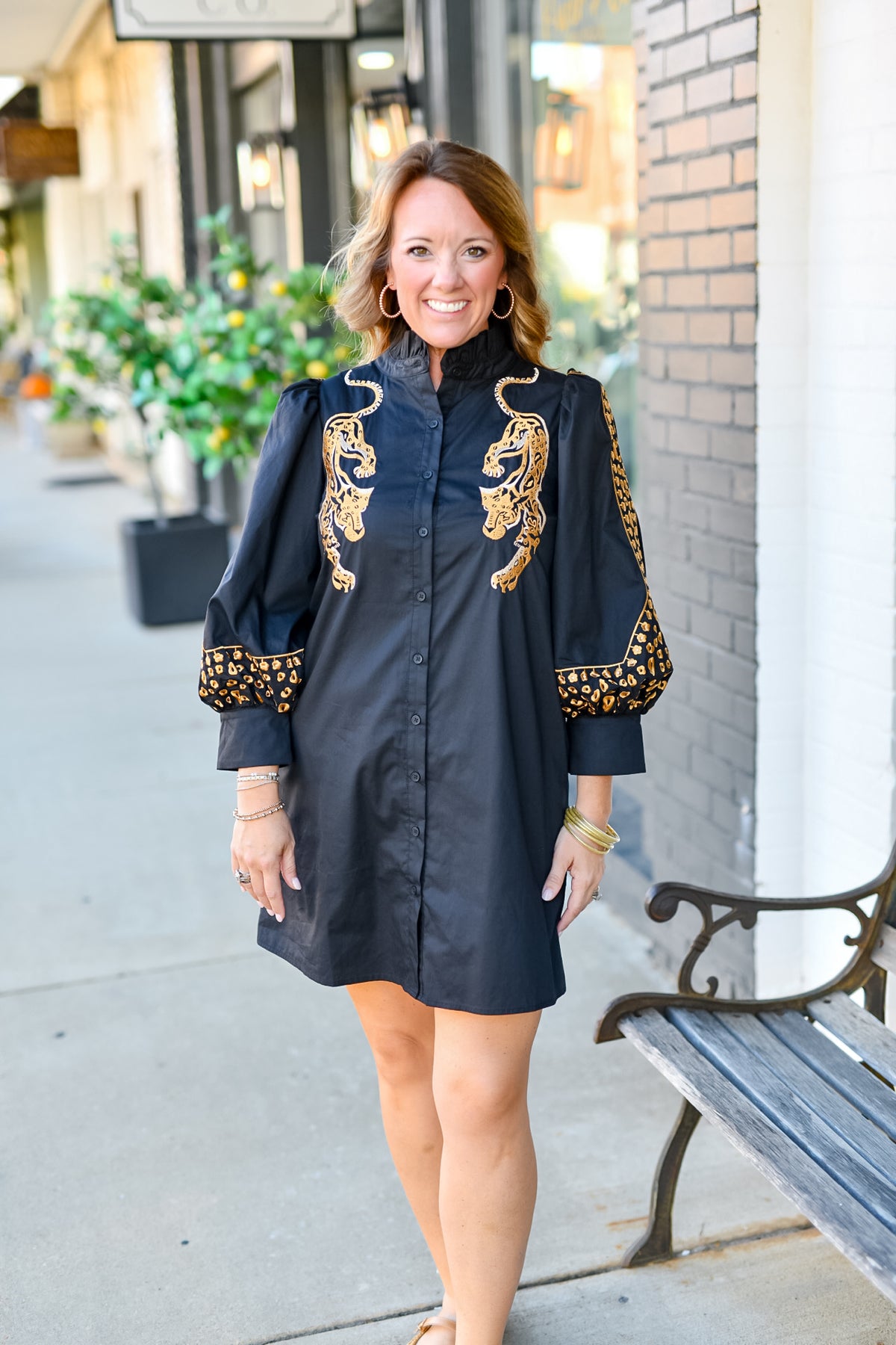Leopard Embroidered Dress in Black