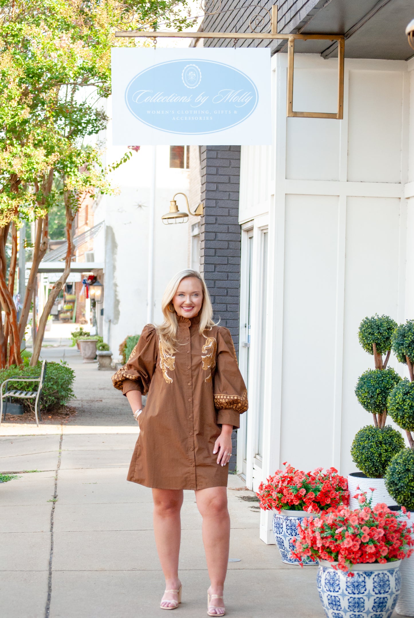 Leopard Embroidered Dress in Brown