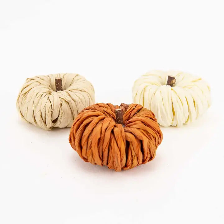 Petite Pumpkin Rust 3"