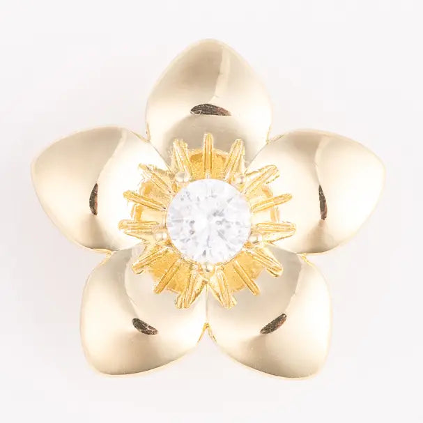 Camryn Slide Charms