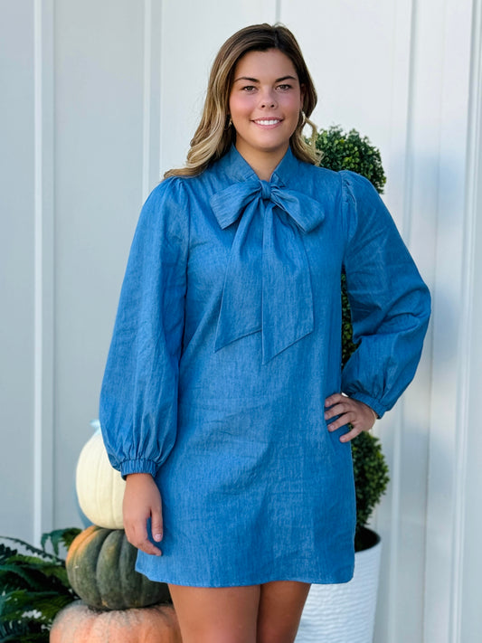 The Chaney Denim Dress