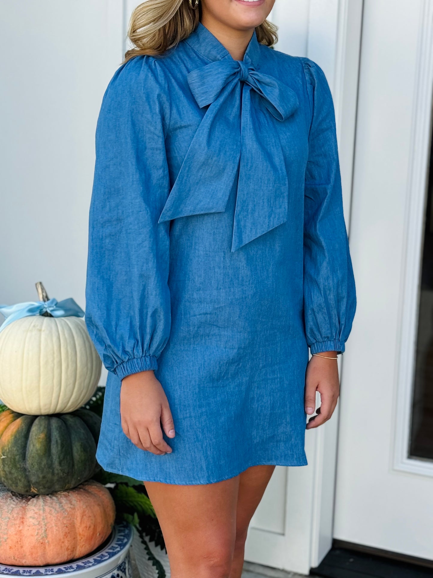 The Chaney Denim Dress