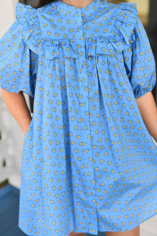 The Farish Dress in Blue