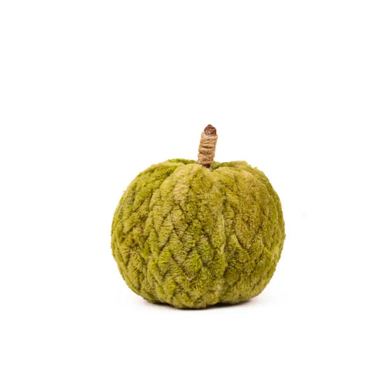 Hutchinson Pumpkin Green 4"